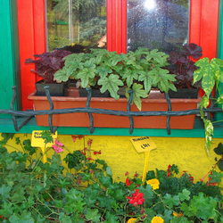 Ručně kovaný držák květináčů na okně ve venkovském stylu