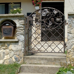 A wrought iron gate - luxury, vine 