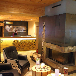 The stainless steel fireplace in Srdie?ko Hotel